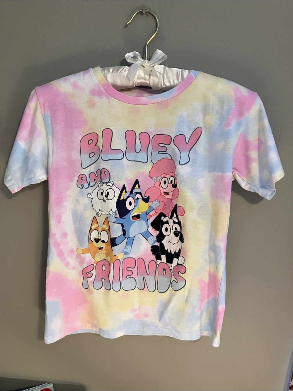 Bluey and Friends Tie-Dye Kids Short Sleeve Tee - Pastel Pink/Blue/Yellow